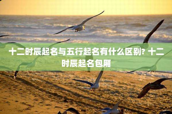 十二时辰起名与五行起名有什么区别? 十二时辰起名包厢