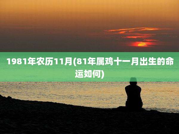 1981年农历11月(81年属鸡十一月出生的命运如何)
