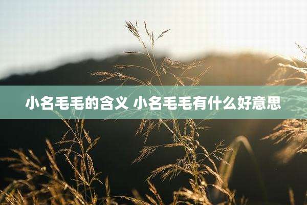 小名毛毛的含义 小名毛毛有什么好意思