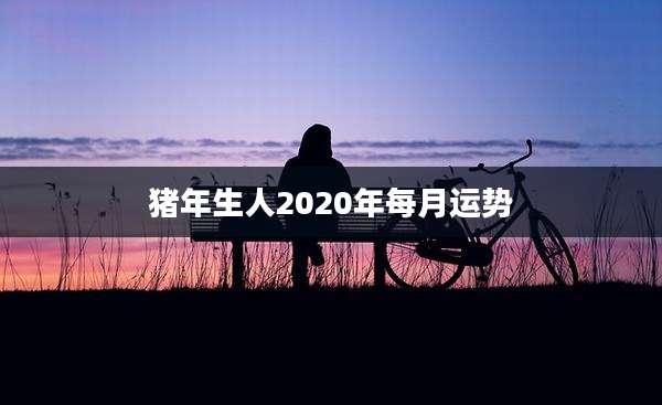猪年生人2020年每月运势