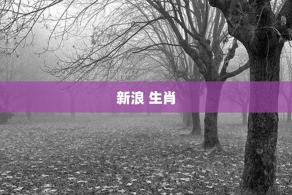 新浪 生肖