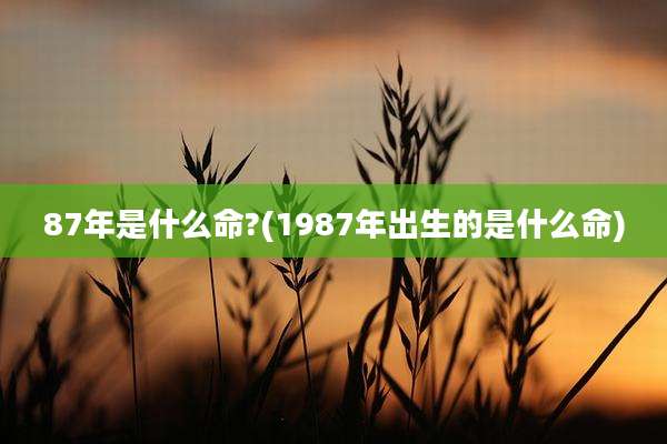 87年是什么命?(1987年出生的是什么命)