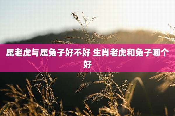 属老虎与属兔子好不好 生肖老虎和兔子哪个好