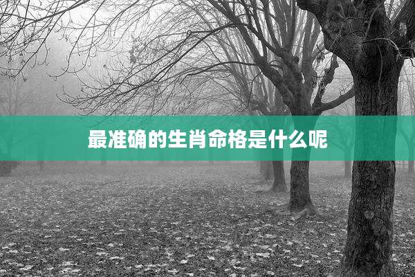 最准确的生肖命格是什么呢