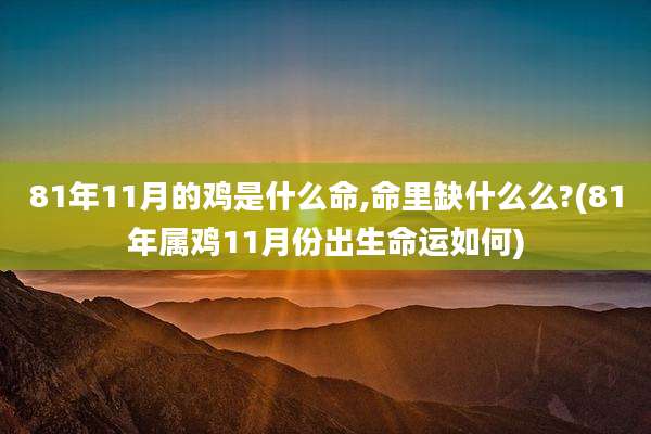 81年11月的鸡是什么命,命里缺什么么?(81年属鸡11月份出生命运如何)