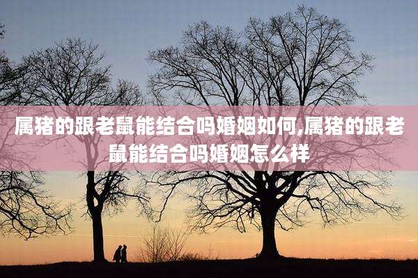 属猪的跟老鼠能结合吗婚姻如何,属猪的跟老鼠能结合吗婚姻怎么样