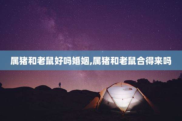 属猪和老鼠好吗婚姻,属猪和老鼠合得来吗