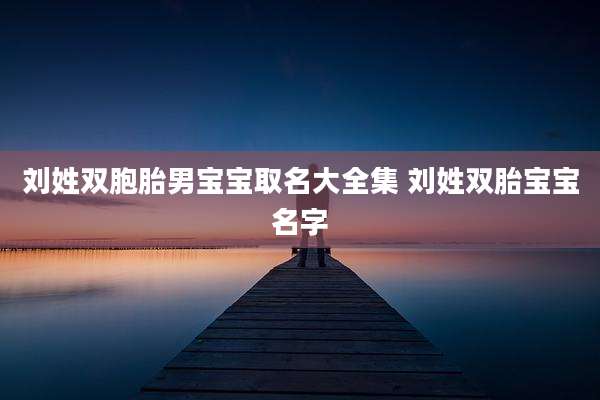 刘姓双胞胎男宝宝取名大全集 刘姓双胎宝宝名字