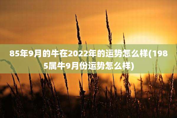 85年9月的牛在2022年的运势怎么样(1985属牛9月份运势怎么样)