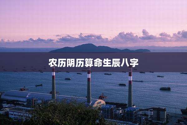 农历阴历算命生辰八字