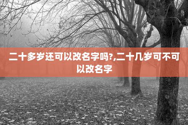 二十多岁还可以改名字吗?,二十几岁可不可以改名字