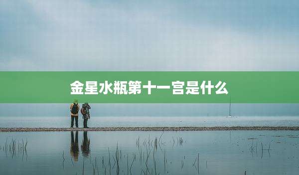 金星水瓶第十一宫是什么
