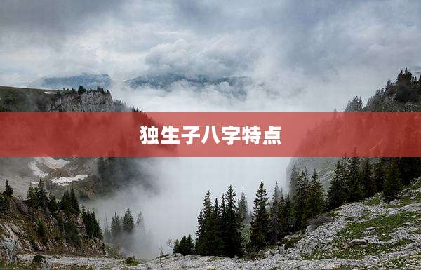 独生子八字特点