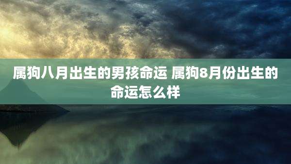 属狗八月出生的男孩命运 属狗8月份出生的命运怎么样