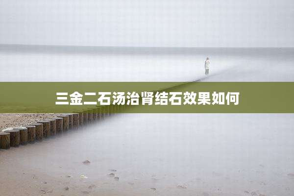 三金二石汤治肾结石效果如何