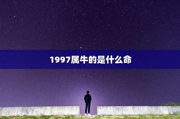 1997属牛的是什么命