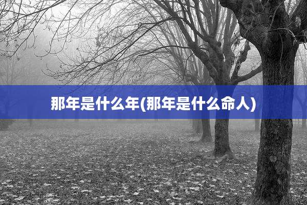 那年是什么年(那年是什么命人)