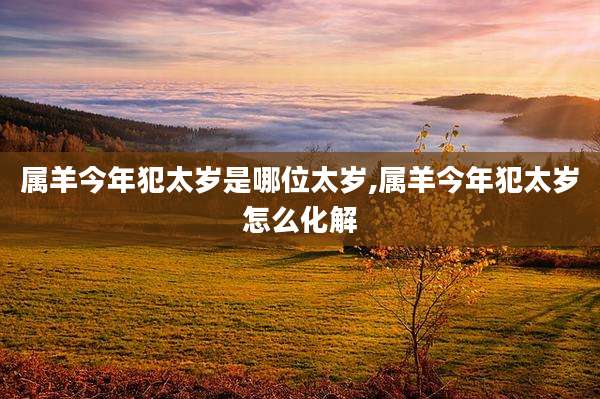 属羊今年犯太岁是哪位太岁,属羊今年犯太岁怎么化解