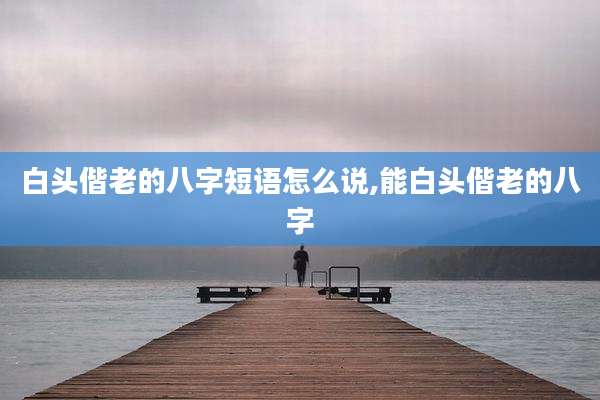白头偕老的八字短语怎么说,能白头偕老的八字