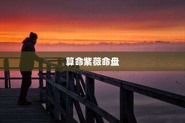 算命紫薇命盘