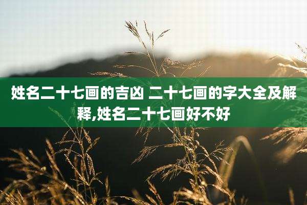 姓名二十七画的吉凶 二十七画的字大全及解释,姓名二十七画好不好