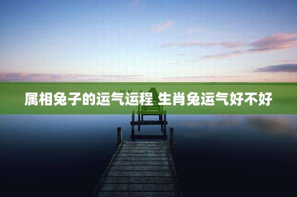 属相兔子的运气运程 生肖兔运气好不好