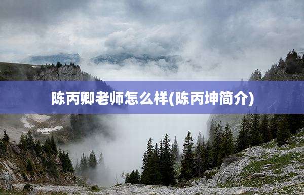 陈丙卿老师怎么样(陈丙坤简介)