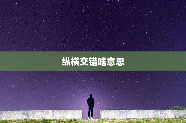 纵横交错啥意思