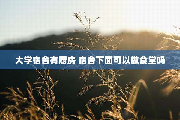 大学宿舍有厨房 宿舍下面可以做食堂吗
