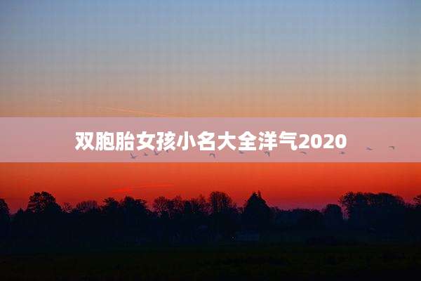 双胞胎女孩小名大全洋气2020