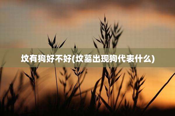 坟有狗好不好(坟墓出现狗代表什么)