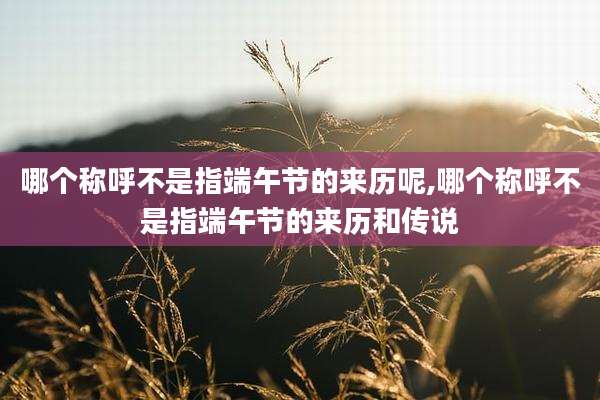 哪个称呼不是指端午节的来历呢,哪个称呼不是指端午节的来历和传说