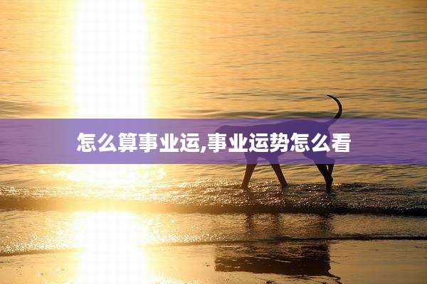 怎么算事业运,事业运势怎么看