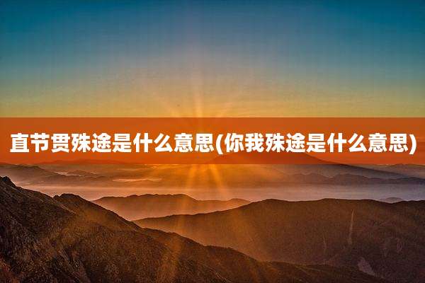 直节贯殊途是什么意思(你我殊途是什么意思)