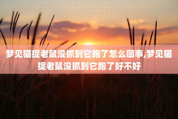 梦见猫捉老鼠没抓到它跑了怎么回事,梦见猫捉老鼠没抓到它跑了好不好
