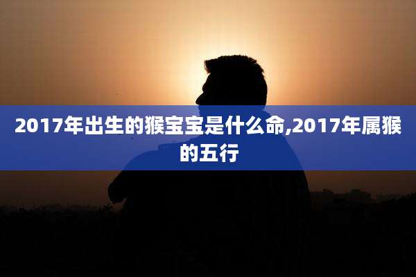 2017年出生的猴宝宝是什么命,2017年属猴的五行