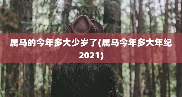 属马的今年多大少岁了(属马今年多大年纪2021)