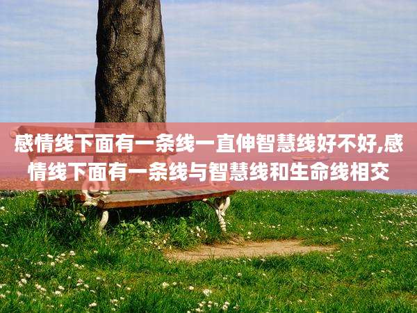 感情线下面有一条线一直伸智慧线好不好,感情线下面有一条线与智慧线和生命线相交