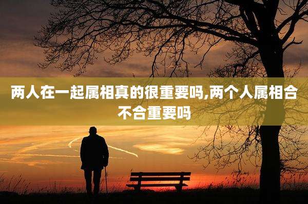 两人在一起属相真的很重要吗,两个人属相合不合重要吗
