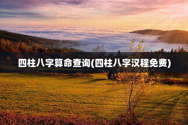 四柱八字算命查询(四柱八字汉程免费)