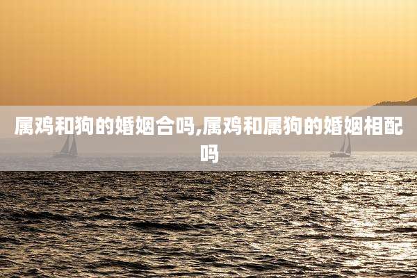 属鸡和狗的婚姻合吗,属鸡和属狗的婚姻相配吗