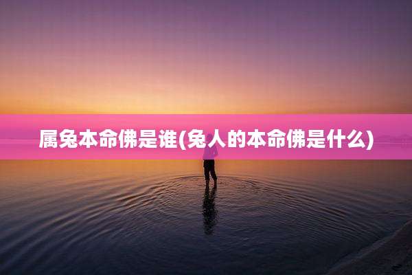 属兔本命佛是谁(兔人的本命佛是什么)