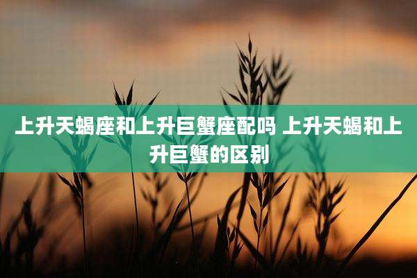 上升天蝎座和上升巨蟹座配吗 上升天蝎和上升巨蟹的区别