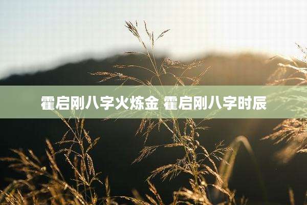 霍启刚八字火炼金 霍启刚八字时辰