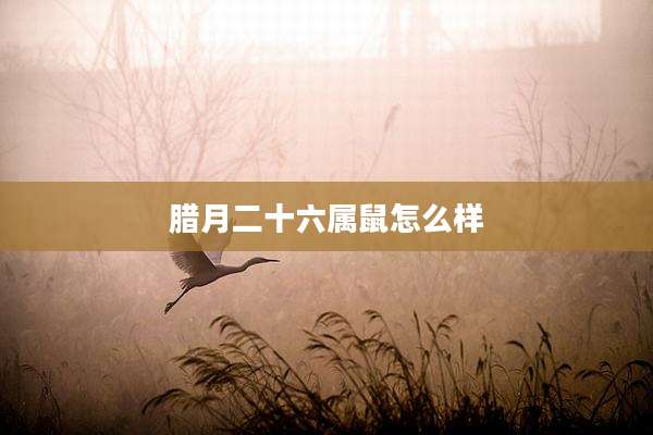腊月二十六属鼠怎么样
