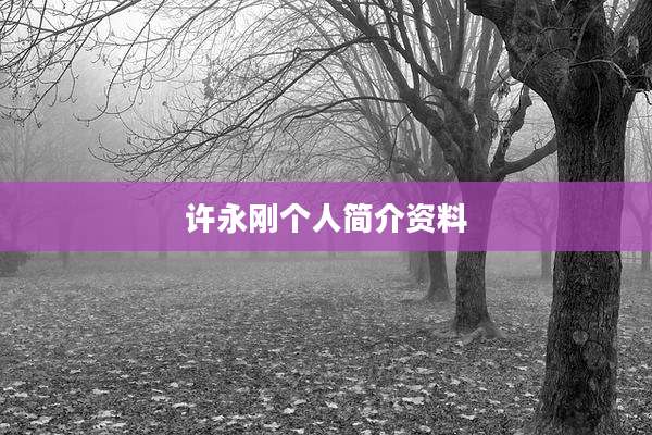 许永刚个人简介资料