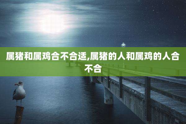 属猪和属鸡合不合适,属猪的人和属鸡的人合不合