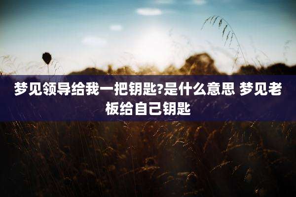 梦见领导给我一把钥匙?是什么意思 梦见老板给自己钥匙