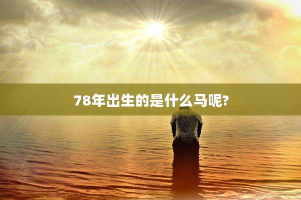 78年出生的是什么马呢?