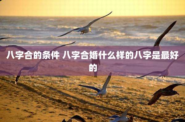 八字合的条件 八字合婚什么样的八字是最好的